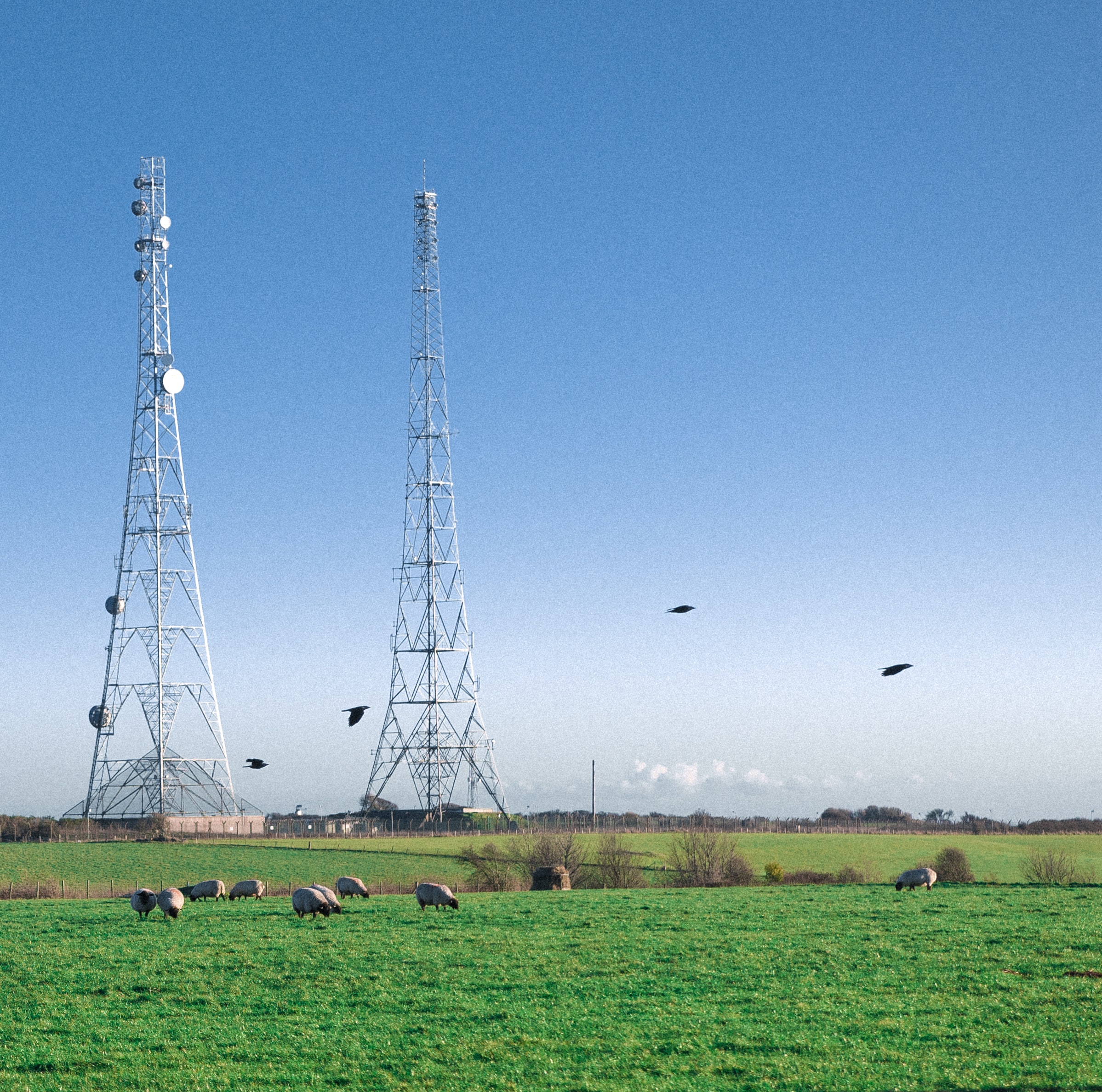 Telecom